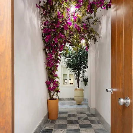 公寓式酒店 Genteel Patrocinio 3*